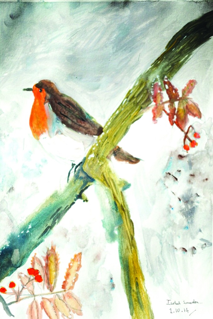 The Robin